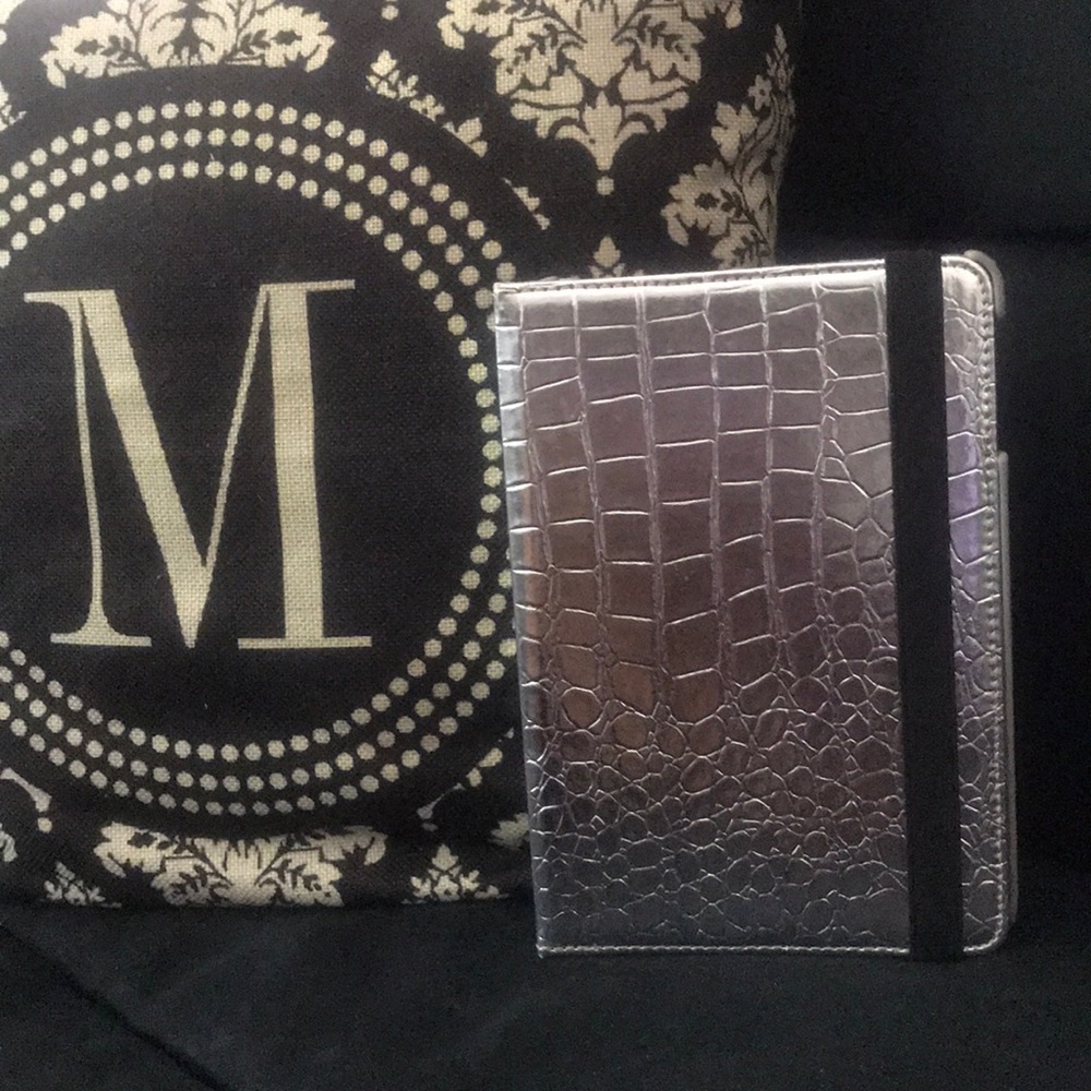 Silver iPad mini case